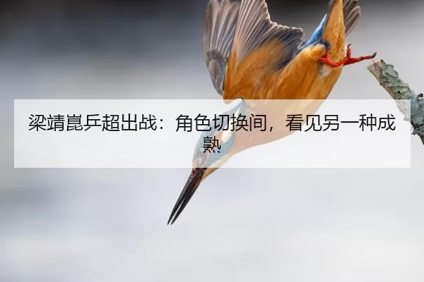 梁靖崑乒超出战：角色切换间，看见另一种成熟