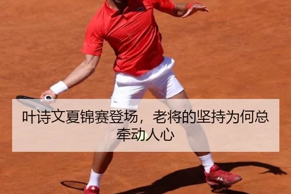 叶诗文夏锦赛登场，老将的坚持为何总牵动人心